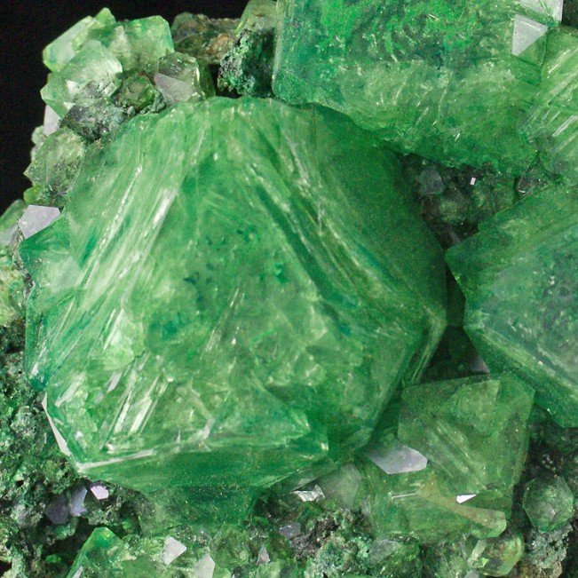 4.8" Green ALUM Sharp Gemmy Octahedral Crystals to 2.1"Poland Lab Grown for sale