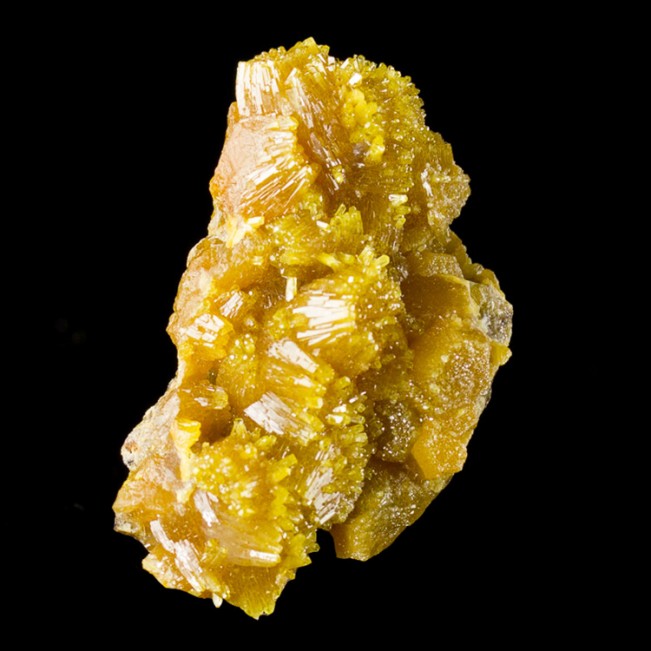 1.6" Sparkling Yellow-Orange PYROMORPHITE Crystals Bunker Hill M Idaho for sale