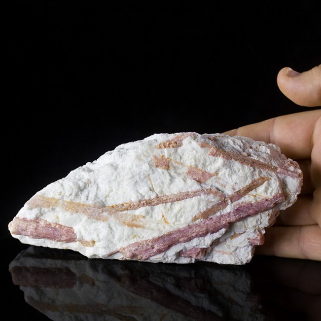 6.9" CandyCanePink Rubellite TOURMALINE Crystals in Milky Quartz Brazil for sale