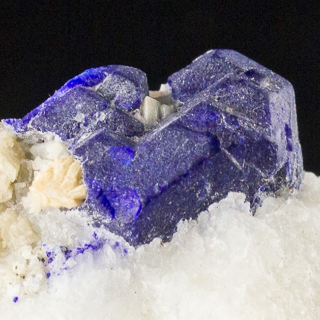 1.9" UltramarineBlue LAZURITE Sharp Crystals in WhiteMarble Afghanistan for sale