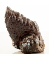 4.8" BriteShiny HEMATITE Bubbly Botryoidal Ki...