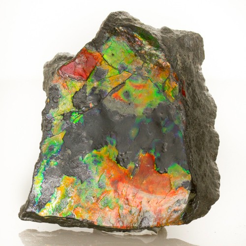 2.4" Red-Orange-Yellow-Green Iridescent Fossi...