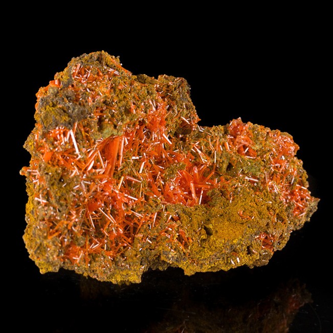 3.3" CROCOITE Terminated Lustrous Red Orange Crystals to10mm Tasmania for sale 