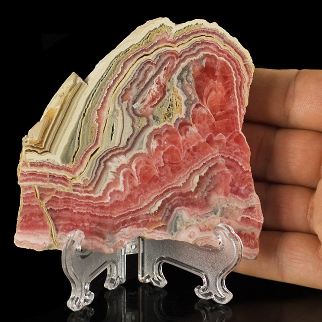 4.9" Bulls Eye Red-Pink-White-Tan RHODOCHROSITE PolishedSlice Argentina for sale