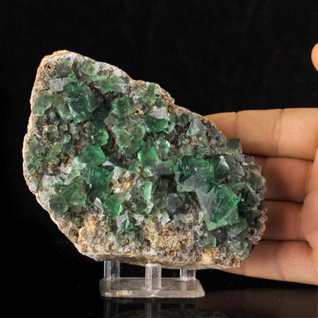 5.5" WetLook Clear Gem Green FLUORITE Crystals +Galena Rogerley Mine UK for sale