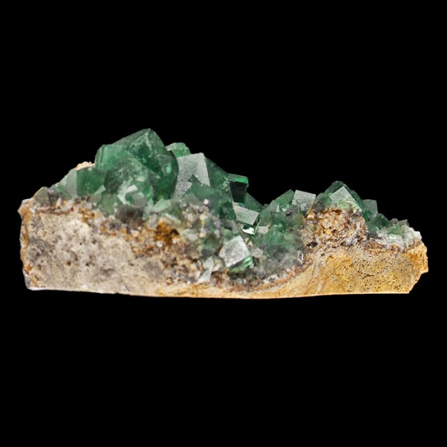 5.5" WetLook Clear Gem Green FLUORITE Crystals +Galena Rogerley Mine UK for sale