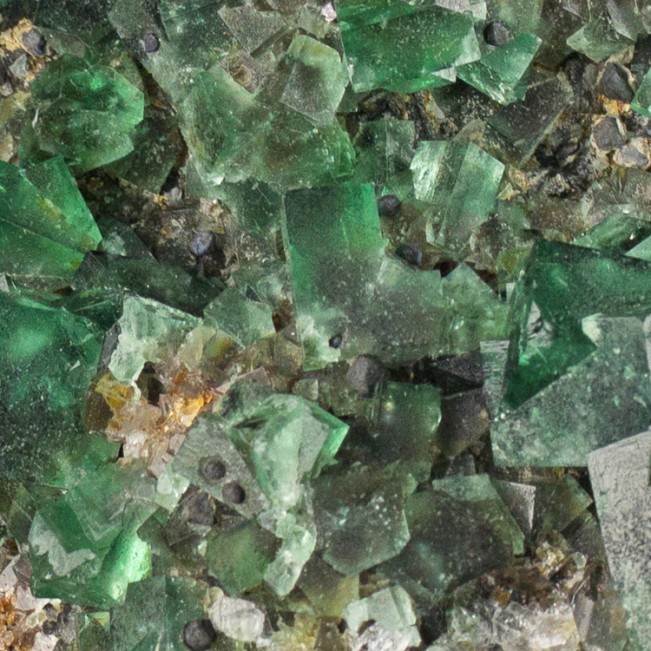 5.5" WetLook Clear Gem Green FLUORITE Crystals +Galena Rogerley Mine UK for sale