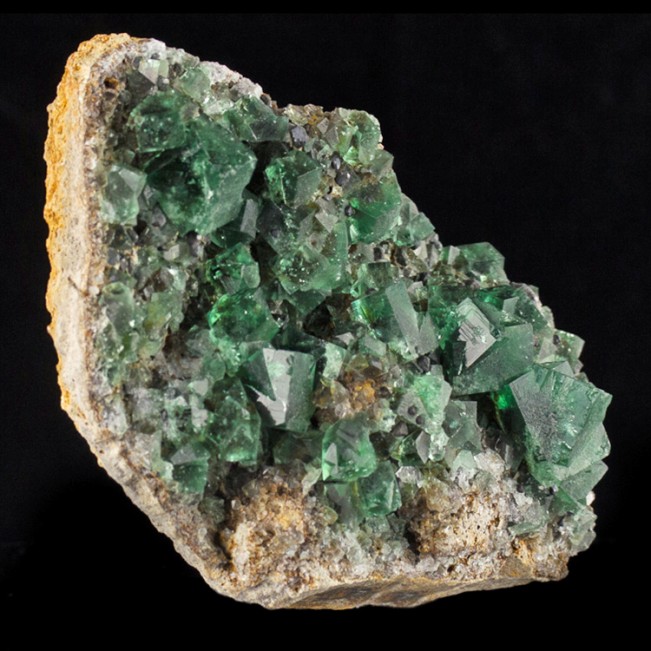 5.5" WetLook Clear Gem Green FLUORITE Crystals +Galena Rogerley Mine UK for sale