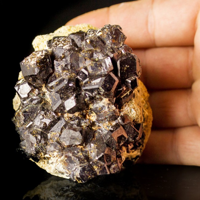 3" Dark Chocolate MELANITE GARNET Crystals Variety of Andradite Mali for sale