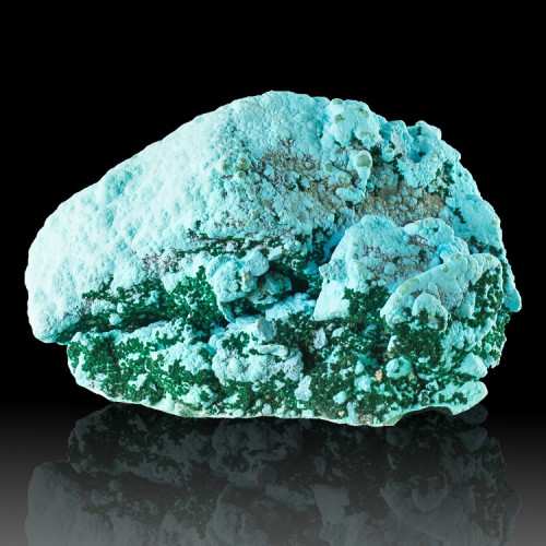6.4" Turquoise Botryoidal CHRYSOCOLLA w-Green...