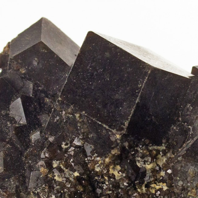 2.6" Dark ChocolateBrown MELANITE Crystals v.Andradite Sharp+Shiny Mali for sale