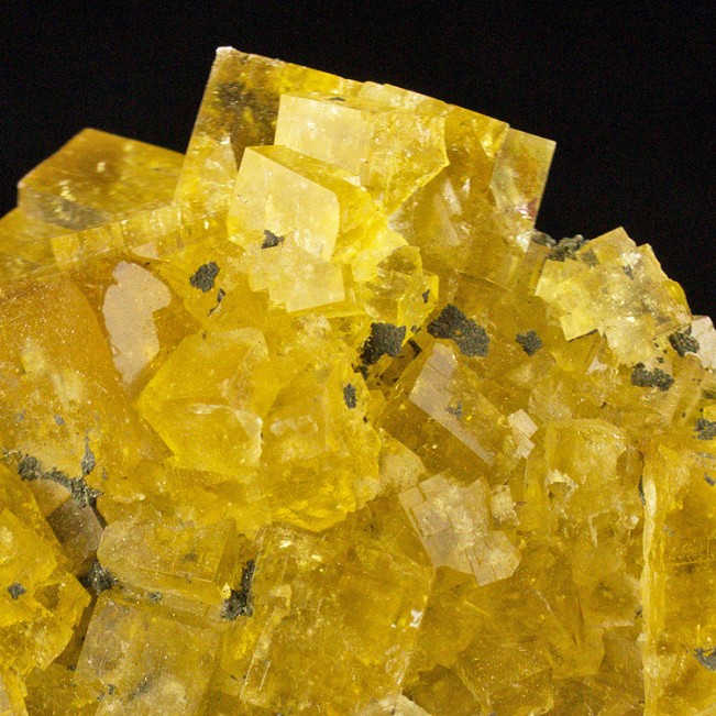 3.2" ButterYellow Cubic Gem FLUORITE Crystals Penetrating Twins Morocco for sale
