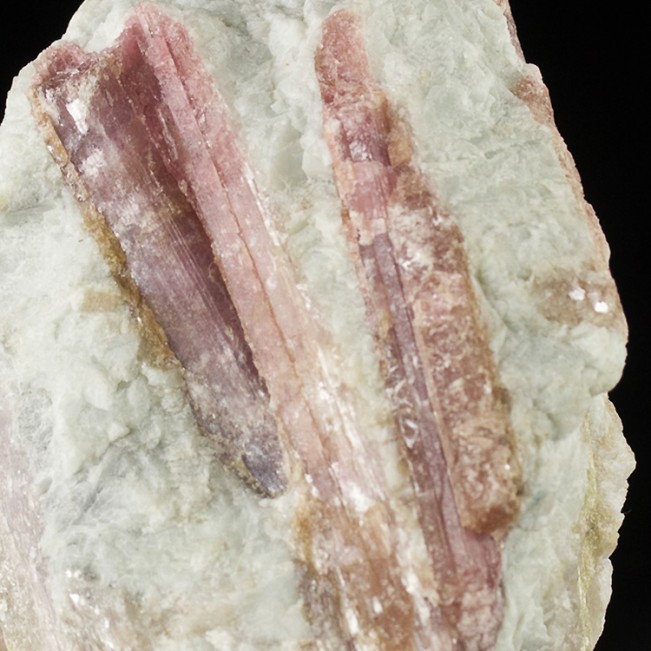 3.7" Milky Quartz Shot Through w-MagentaPink TOURMALINE Crystals Brazil for sale