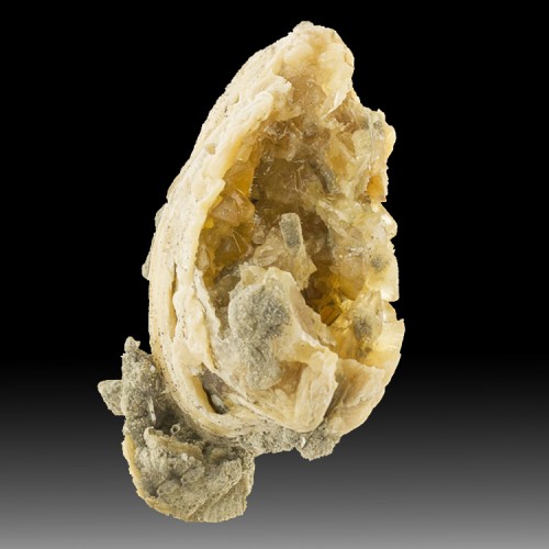 3.8" Golden CALCITE Crystals Inside Pleistoce...