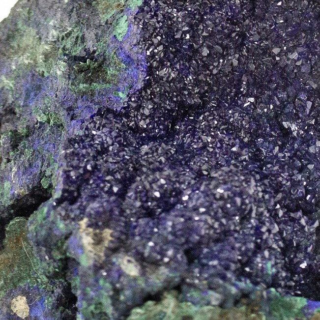 3.9" Lively Twinkling Lustrous Navy Blue AZURITE Crystals in Vug China for sale