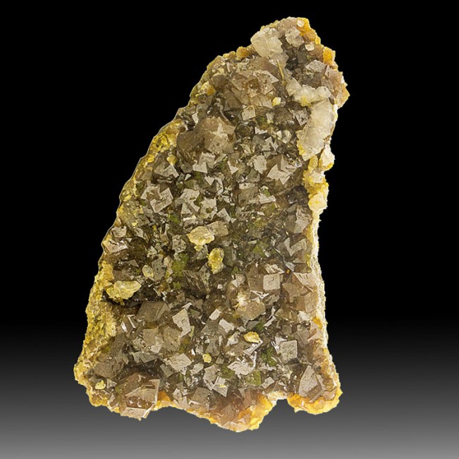 4.1" Iridescent Golden ANDRADITE GARNET Crystals Godtok Claim Arizona for sale