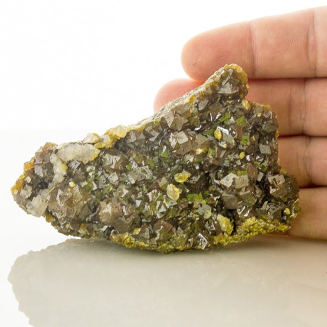 4.1" Iridescent Golden ANDRADITE GARNET Crystals Godtok Claim Arizona for sale