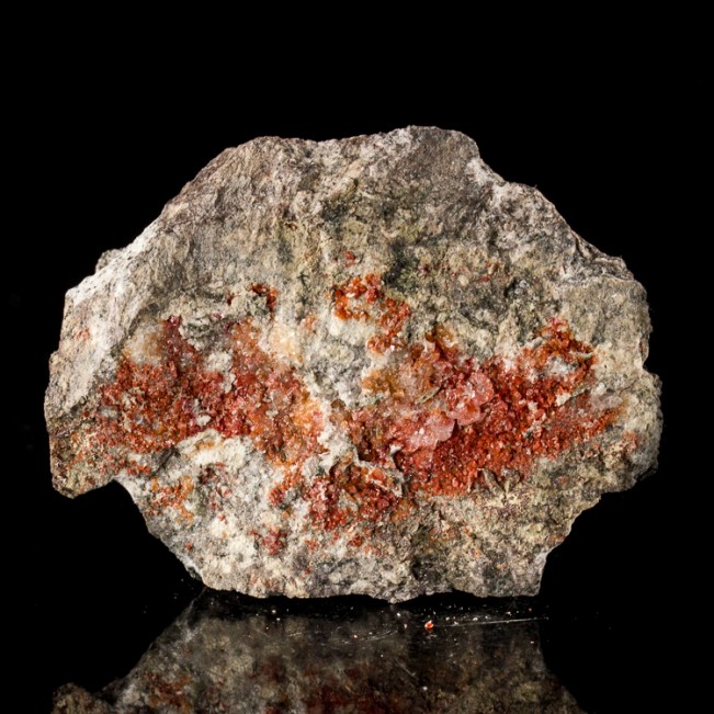 2.3" Scarlet Red Needle Crystals of Cuprite var. CHALCOTRICHITE Arizona for sale