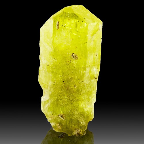 1.4" Gemmy Lustrous Yellow APATITE Crystal Su...