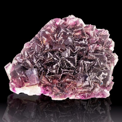 3.2" Clear with Purple Zoning GEM FLUORITE Sh...