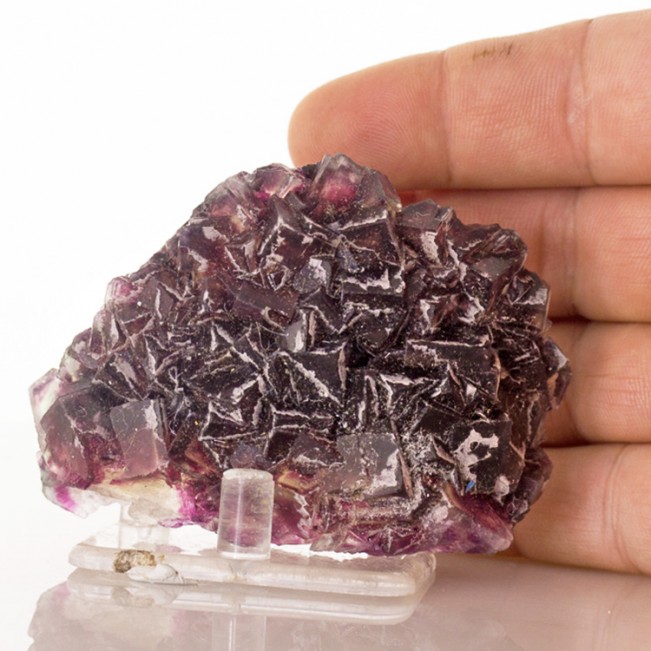3.2" Clear with Purple Zoning GEM FLUORITE Sharp Cubic Crystals Okaruso for sale