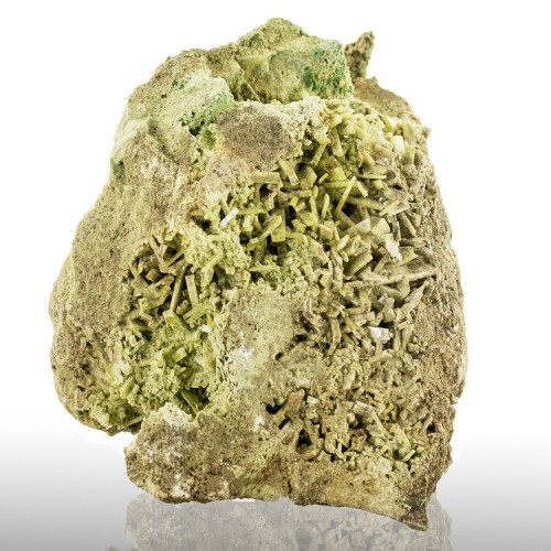 5.8" Sharp Spinach Linguini DIOPSIDE GreenBla...