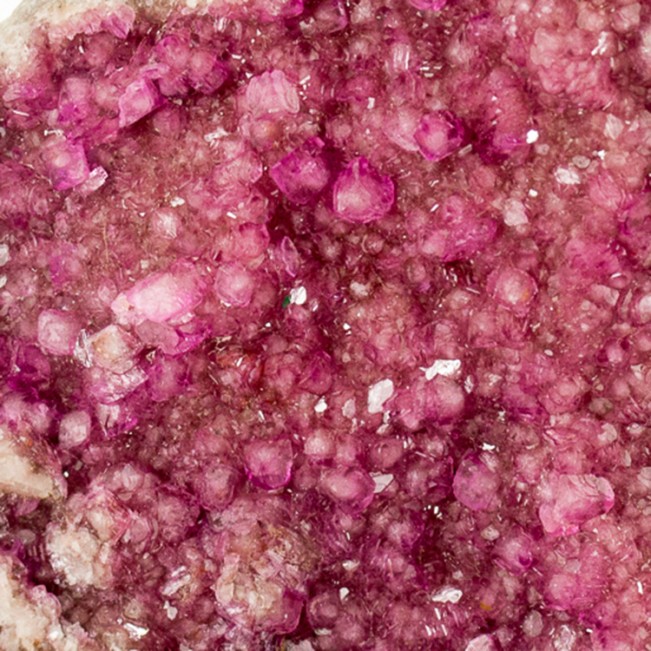 3.7" Vibrant Saturated Raspberry Sherbet Pink COBALTOAN CALCITE DRCongo for sale