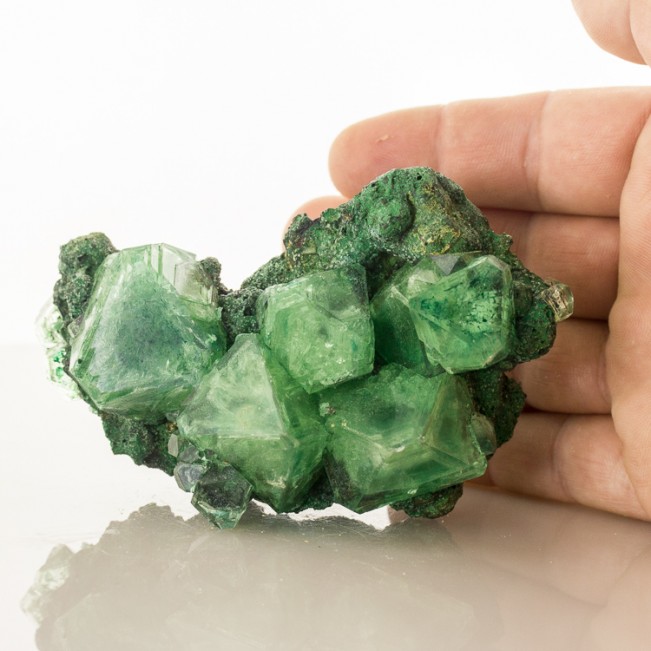 4.4" ALUM Grass Green Octahedral Crystals to1.5" on Black Matrix Poland for sale