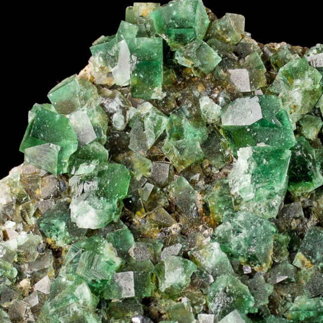 5.2" Blue Green FLUORITE Sharp Cubic Crystals to .6" Rogerley Mine UK for sale