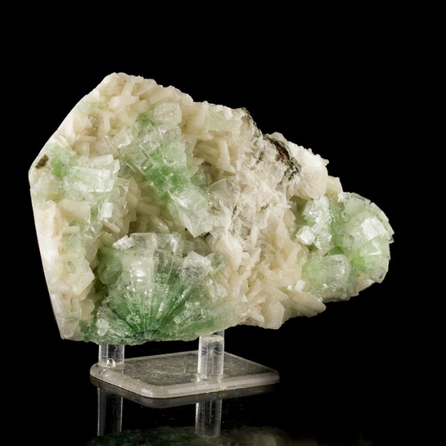 5.3" Green APOPHYLLITE SquareTop Crystals on White Stilbite Well3 India for sale