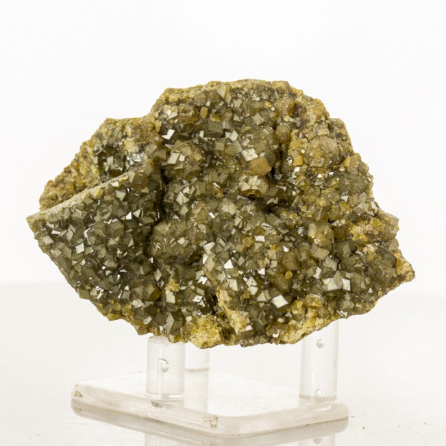 3.5" ANDRADITE GARNETS v.Topazolite Lustrous Crystals Stanley Butte AZ for sale