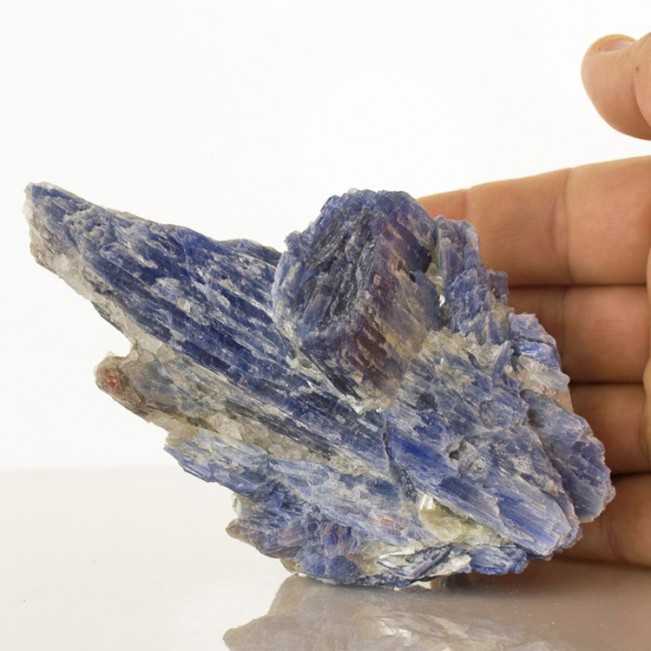 5.3" Lustrous Blueberry BLUE KYANITE FatBladed Crystals w-Quartz Brazil for sale