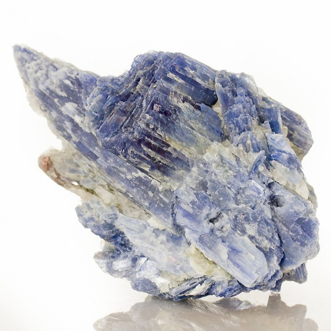 5.3" Lustrous Blueberry BLUE KYANITE FatBladed Crystals w-Quartz Brazil for sale
