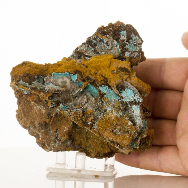 4.5" ROSASITE CRYSTALS Spiky Turquoise Blue on Limonite Ojuela Mexico for sale