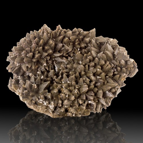 5.5" Spiky Dogtooth DarkCHOCOLATE CALCITE Sca...