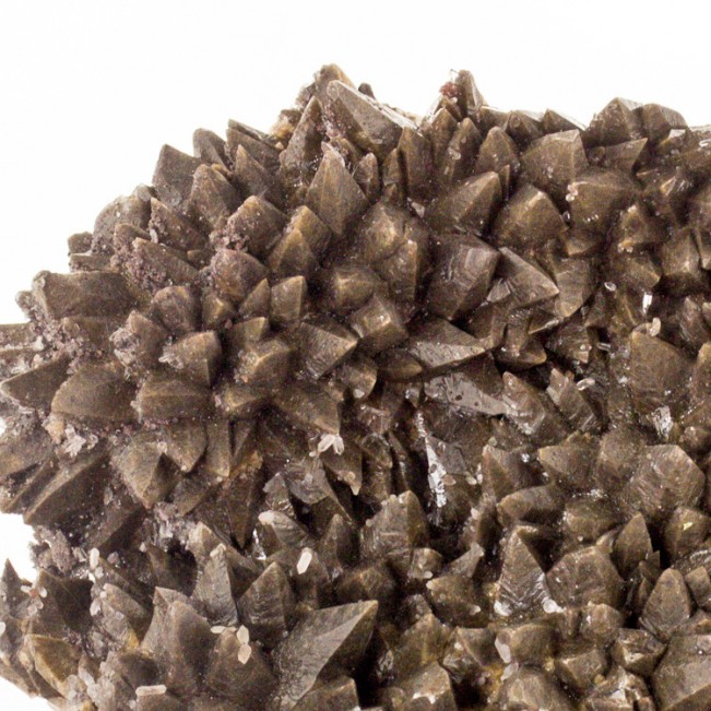 5.5" Spiky Dogtooth DarkCHOCOLATE CALCITE Scalenohedral Crystals Mexico for sale