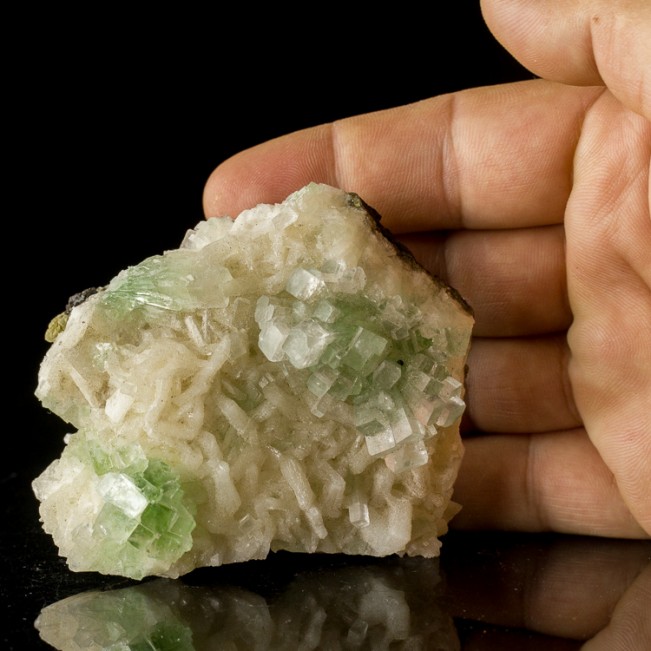 3.3" DISCO BALL APOPHYLLITE Gem Green Crystal Mounds on Stilbite India for sale
