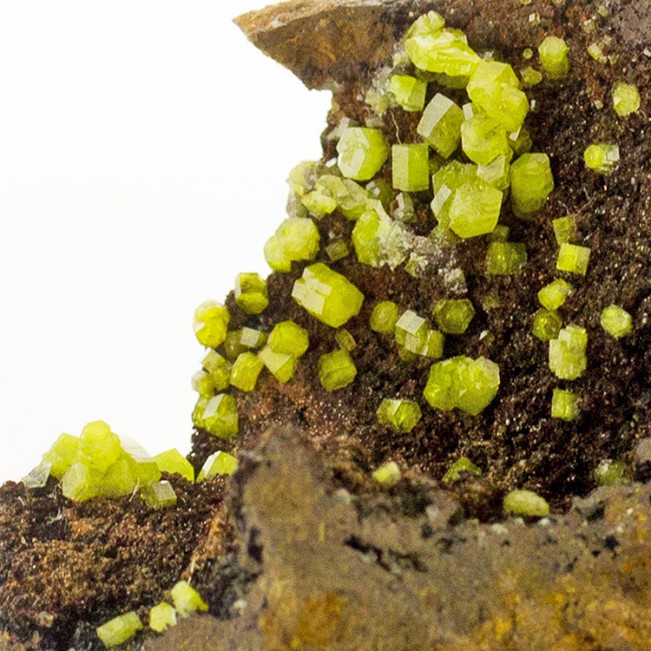 2.2" PYROMORPHITE Sharp Apple Green Crystals Set on Dark Matrix Morocco for sale