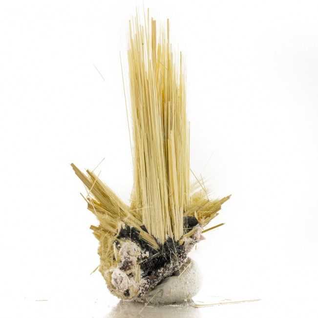 2.1" Golden Crystal Needles of RUTILE Growing from ShinyHEMATITE Brazil for sale