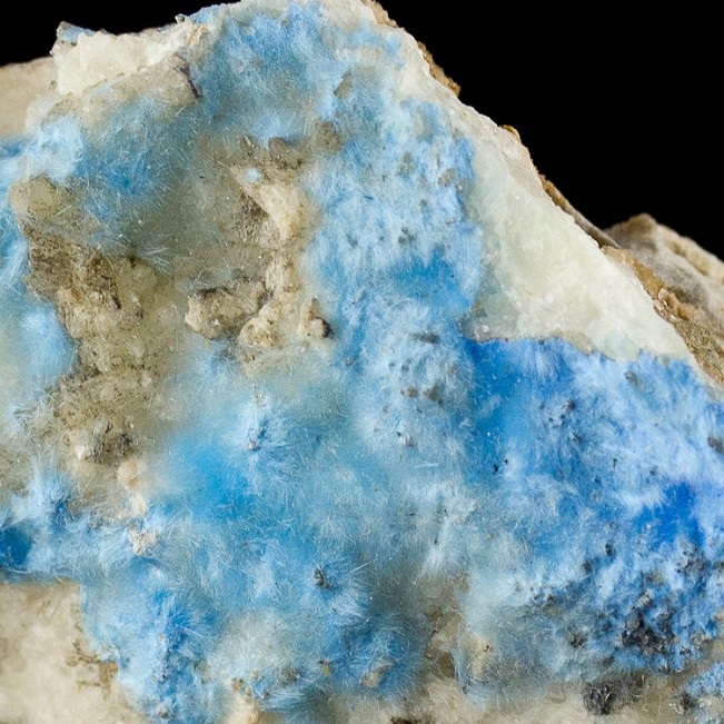 2.3" Electric Blue Fuzzy CYANOTRICHITE Acicular Crystals to 2mm China for sale