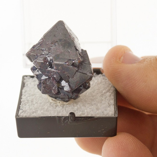 1.1" Lustrous Metallic Dark Silver CUPRITE Sharp Crystals to .8" Russia for sale