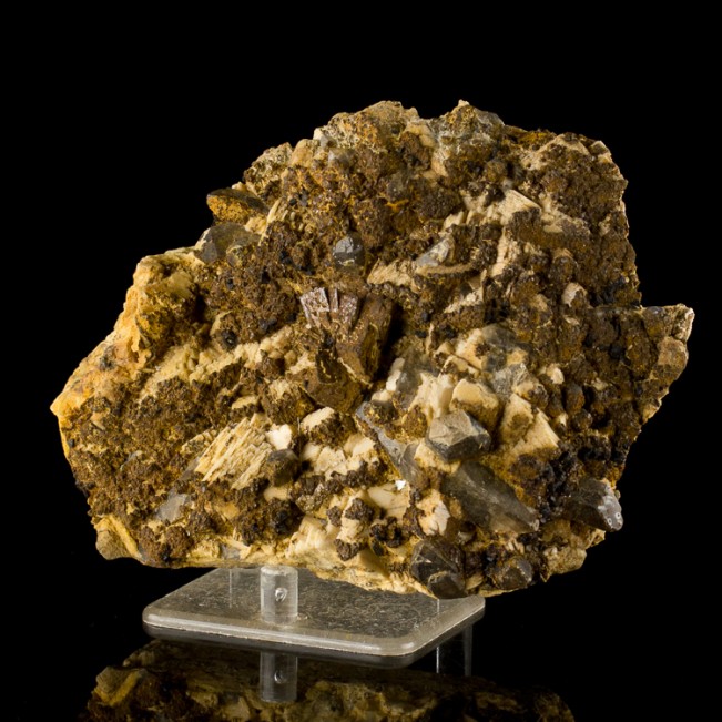 5.7" Brown SIDERITE Crystals with Smoky Quartz +Magnetite New Hampshire for sale