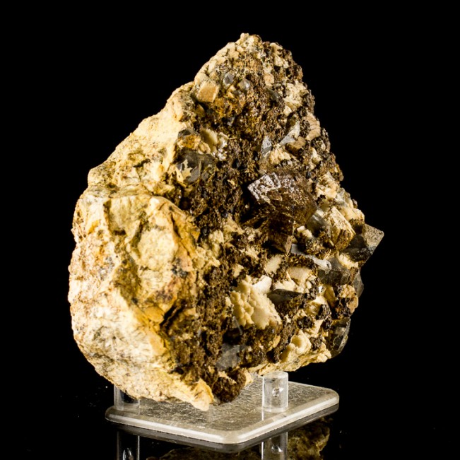 5.7" Brown SIDERITE Crystals with Smoky Quartz +Magnetite New Hampshire for sale