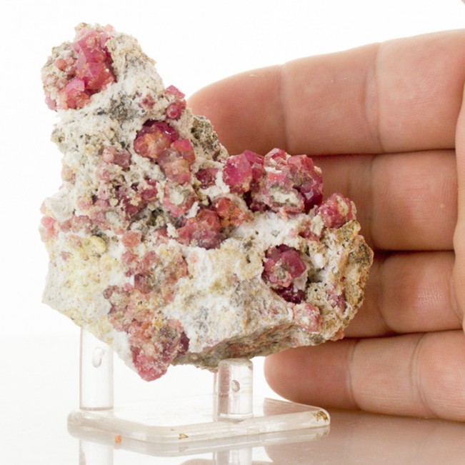 3.5" Colorful Magenta-Red RASPBERRY GROSSULAR GARNET Crystals Mexico for sale