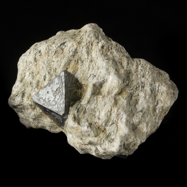 3.5" MAGNETITE Extra Sharp 1.1" Octahedral Crystal in Schist Australia for sale
