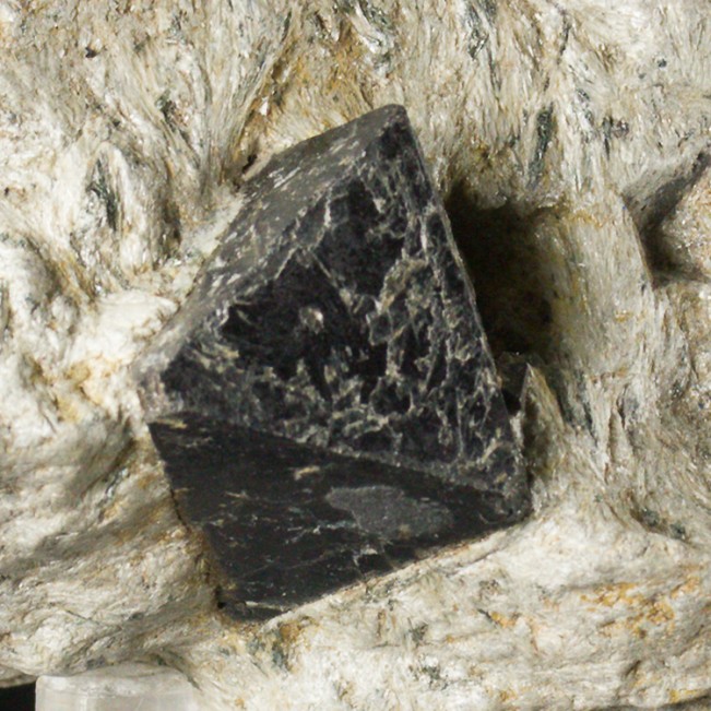 3.5" MAGNETITE Extra Sharp 1.1" Octahedral Crystal in Schist Australia for sale