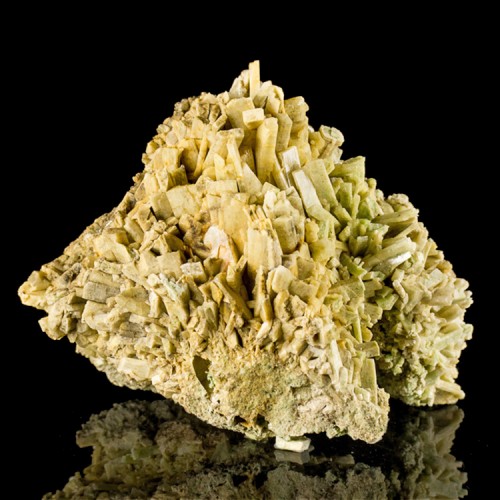 4.4" Sharp "Spinach Linguini" DIOPS...
