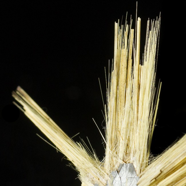 1.9" Golden Crystal Needles of RUTILE Growing from ShinyHEMATITE Brazil for sale