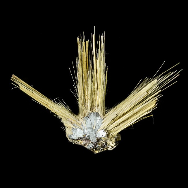 1.9" Golden Crystal Needles of RUTILE Growing from ShinyHEMATITE Brazil for sale