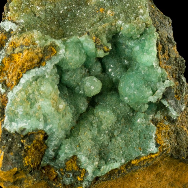 2.5" Seafoam Green CUPRIAN ADAMITE Druzy Crystals on Limonite Mexico for sale